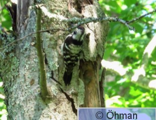 DSC00125.jpg