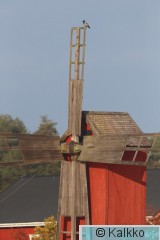 varis 184.jpg