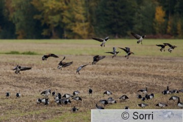 IMG_0796.jpg