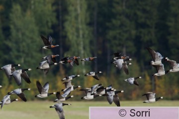 IMG_0843.jpg