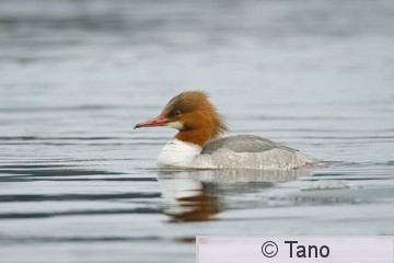 20260315-123037-2.jpg