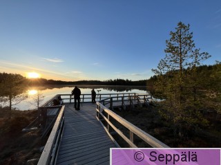 IMG_3932 kopio.jpg