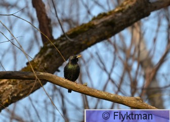K DSC_0350.JPG