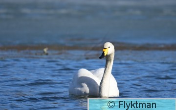 K DSC_0232.JPG