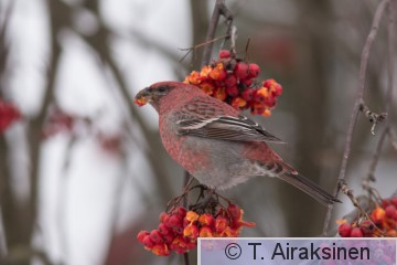 IMG_7168.jpg