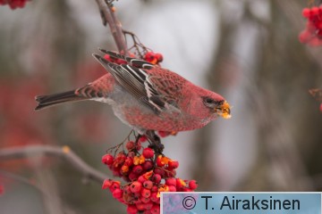 IMG_7203.jpg