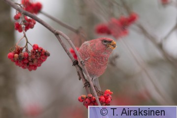 IMG_7176.jpg