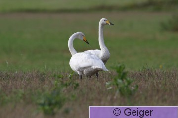 IMG_0378.JPG