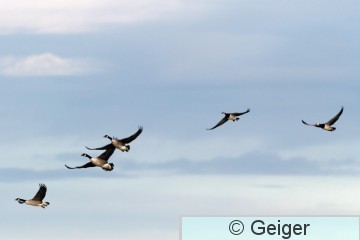 IMG_1861_edited-1.jpg
