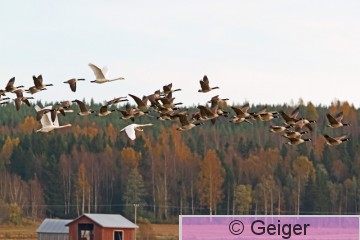 IMG_1886_edited-1.jpg