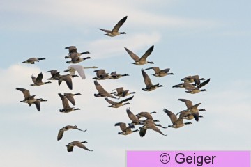 IMG_1919_edited-1.jpg