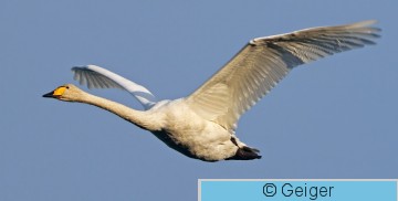 IMG_2002_2_edited-1-1.jpg