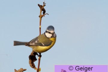IMG_2073.jpg