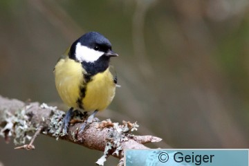 IMG_2685.jpg