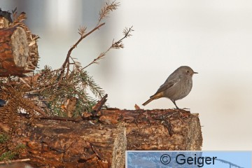 IMG_3904_edited-1.jpg