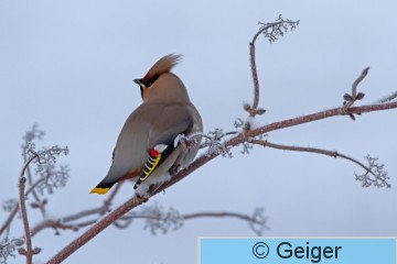 IMG_4454_edited-1.jpg