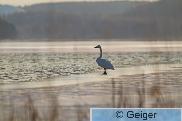 IMG_4565_edited-1.jpg