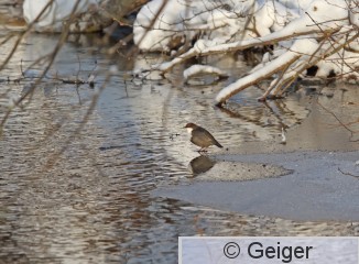 IMG_4628_edited-1.jpg