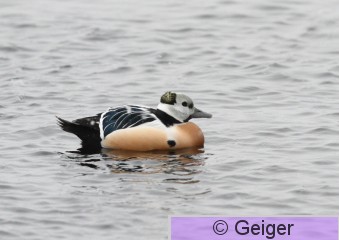 IMG_4681.JPG