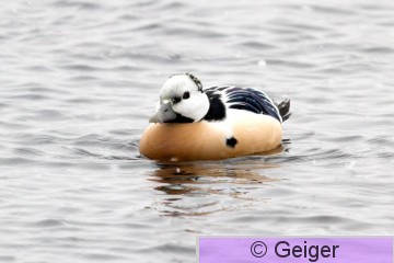IMG_4684_edited-1.jpg