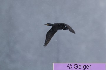 IMG_4708_edited-1_edTMP-1.jpg