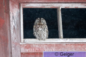 IMG_5778.jpg