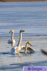 IMG_6977-4.jpg