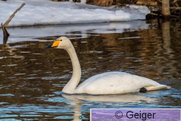 IMG_7139-43.jpg