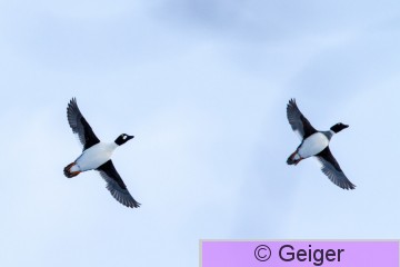 IMG_7555-18.jpg