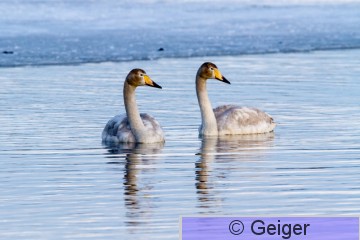 IMG_7574-20.jpg