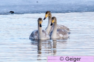 IMG_7586-22.jpg