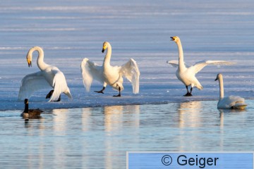 IMG_7733-36.jpg