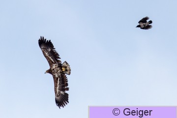 IMG_8014-58.jpg