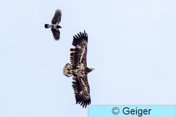 IMG_8023-59.jpg