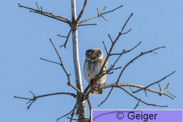 IMG_8341-21.jpg
