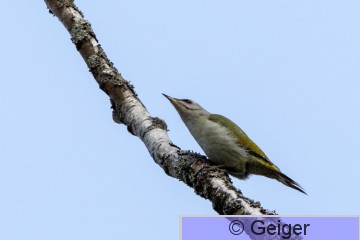 IMG_8488-6.jpg