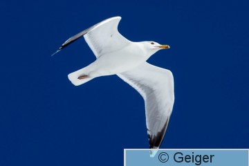 IMG_8716-11.jpg