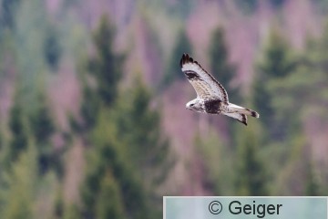 IMG_8784-6.jpg