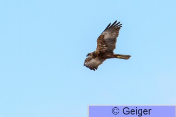 IMG_8944-23.jpg