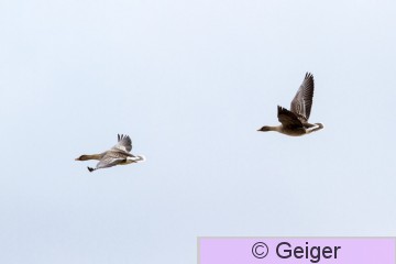 IMG_9245-9.jpg