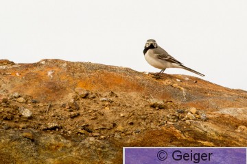 IMG_9685-27.jpg
