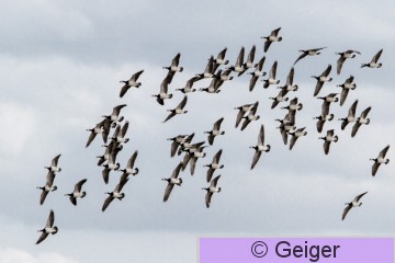 IMG_9998-17.jpg