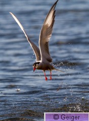 IMG_0621-99.jpg
