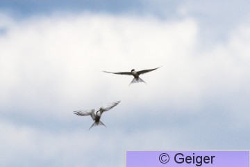 IMG_0865-8.jpg