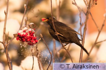 IMG_7475.jpg