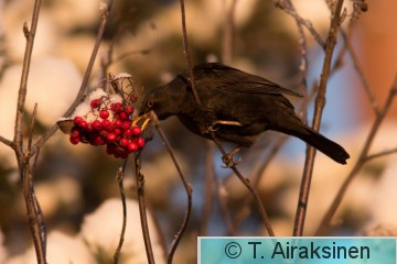 IMG_7485.jpg