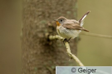 IMG_1265.jpg
