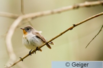IMG_1277.jpg