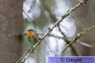 IMG_2473.jpg