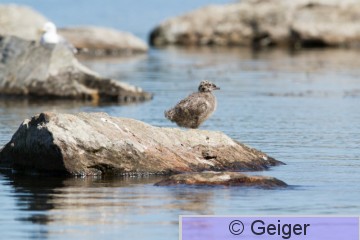 IMG_2665.jpg